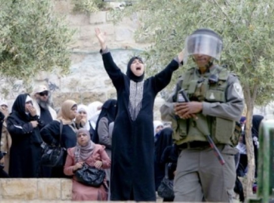 aqsa11-3